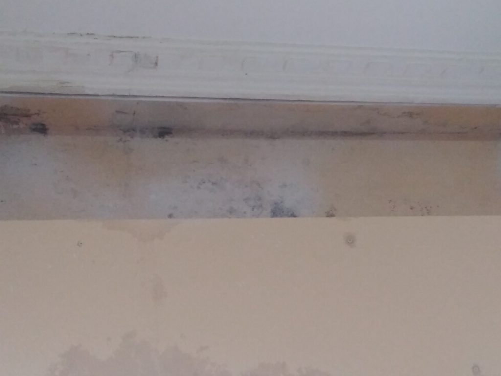 rehabilitacion de viviendas humedades filtracion