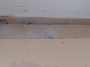 rehabilitacion de viviendas humedades filtracion